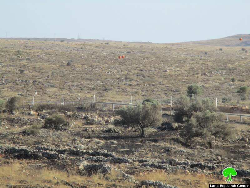 Israeli Troops Torch 22 Olive Trees – Az Zawiya / Salfit Governorate