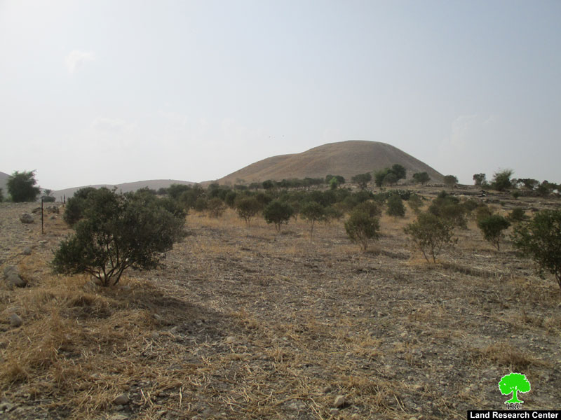 Serving a military order to evict 16 Dunums in Ibziq Hamlet/ Tubas governorate