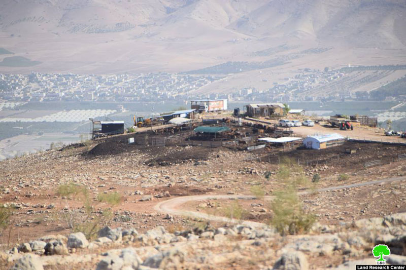 مستعمرو الأغوار يستولون على عشرات الدونمات الزراعية من أراضي منطقتي السويدة والمزوكح / محافظة طوباس