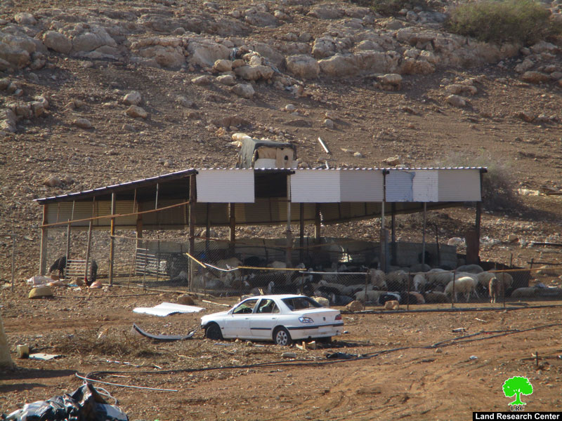 Serving a demolition order targeting residential and agricultural structures in Dhera’ Awad / Tubas Governorate