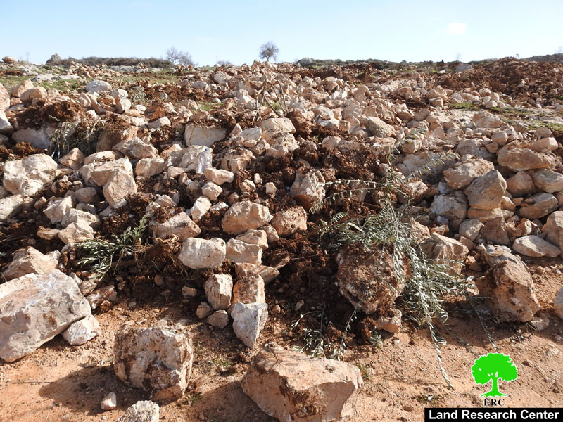 Ravaging lands in Jabal As-Suroj South Hebron