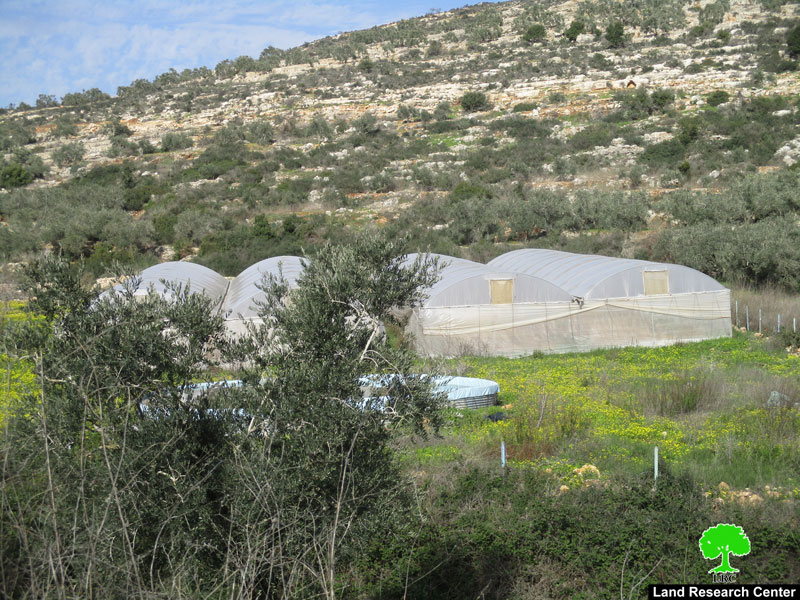 Serving Halt of work order on a farm in Azun Atmeh / East Qalqilya
