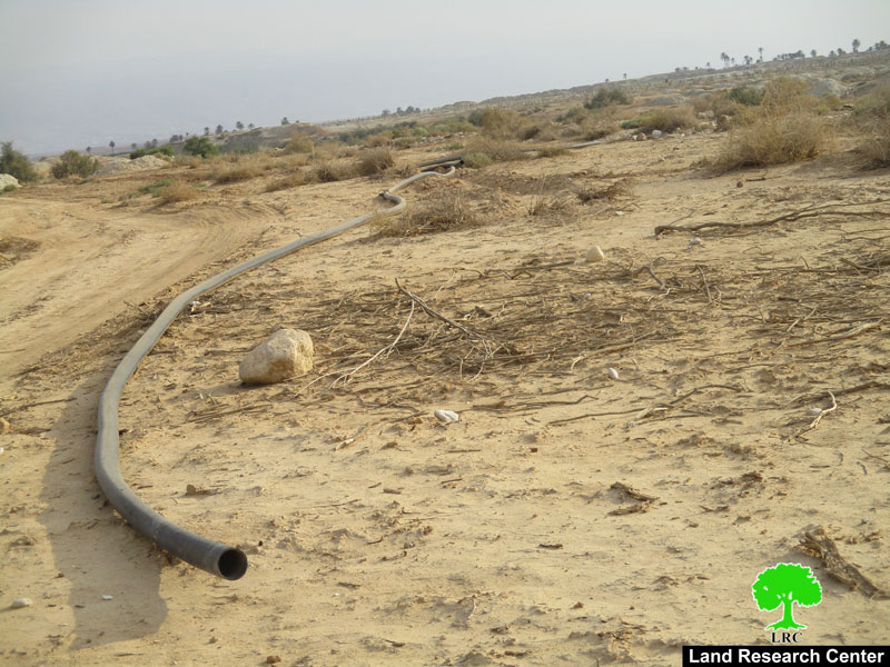 Uprooting 125 palm plants and destroying water lines / Jericho