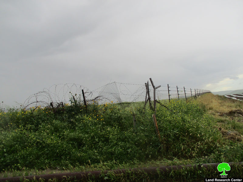 Settlers take over wide areas of pastoral lands in Wad Al-Malih area/ Tubas governorate