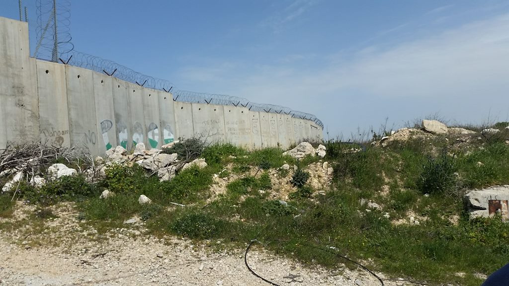 Monitoring Report on the Israeli Settlement Activities in the occupied State of Palestine – June 2019
