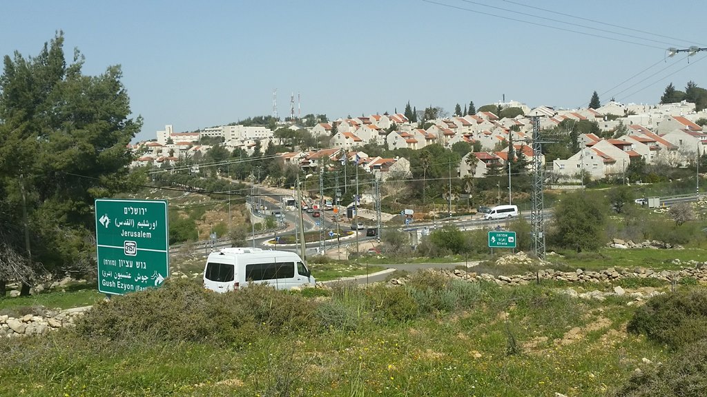 Monitoring Report on the Israeli Settlement Activities in the occupied State of Palestine – June 2019