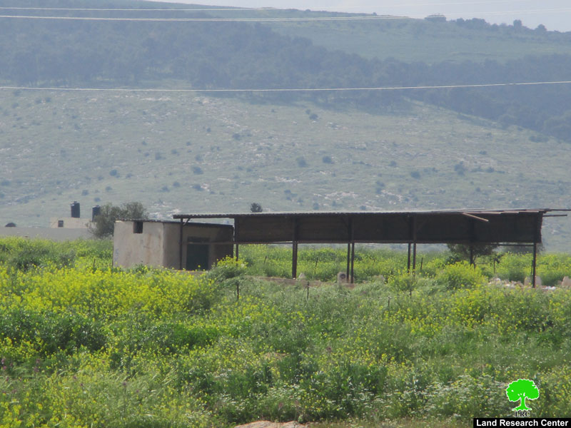The Israeli Occupation Targets Agricultural Facilities in Al-Aqaba/ Tubas Governorate