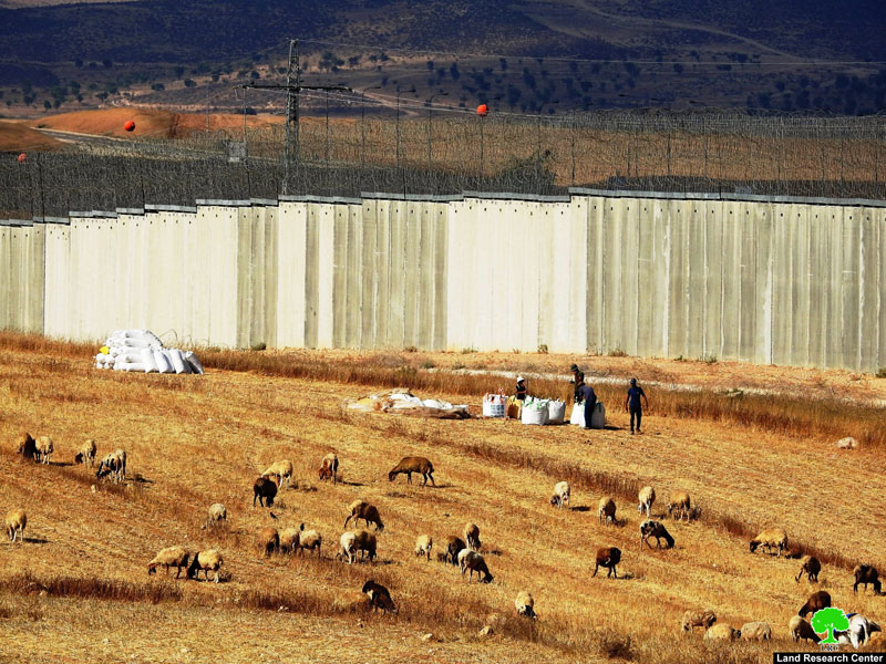 Israel Halts Work on Two Rooms and a Cistern in Al-Burj/ South Hebron