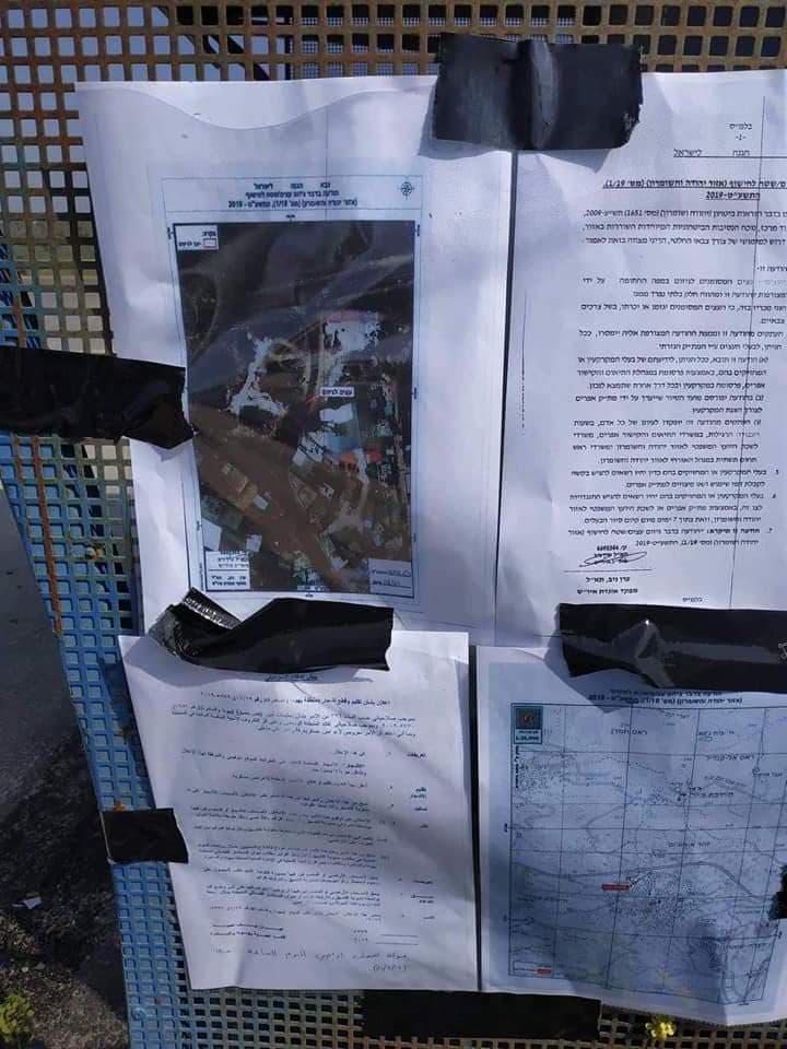 IOF Uproot Forest Trees in Azzun Village / Qalqilya