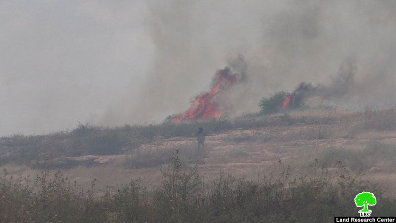 Torching 23 Dunums of Postures in Wad Al-Malih / Tubas Governorate