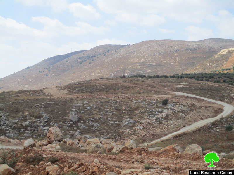 The Israeli occupation halts work on an agricultural road in Sinjil /Ramallah governorate