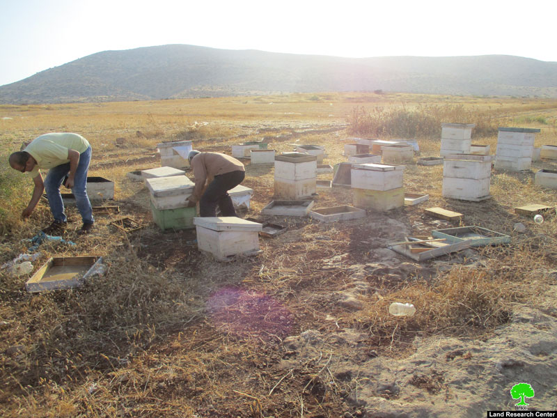 IOF wreck 27 beehives in Bardala village/ Tubas governorate