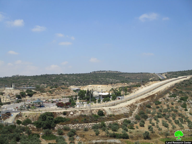 إخطار 112 دونم من أراضي بلدة يعبد بذريعة أنها أملاك دولة / محافظة جنين