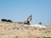 Four cisterns destroyed in Umm Al-Khair reserve – East Yatta
