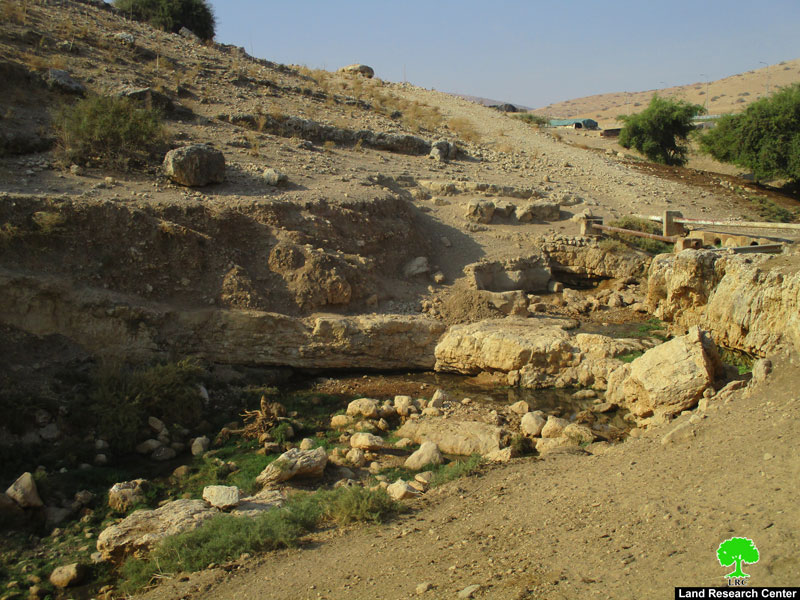 مستعمرو ” مسكيوت” يستولون على نبع عين حلوة في الأغوار الشمالية / محافظة طوباس