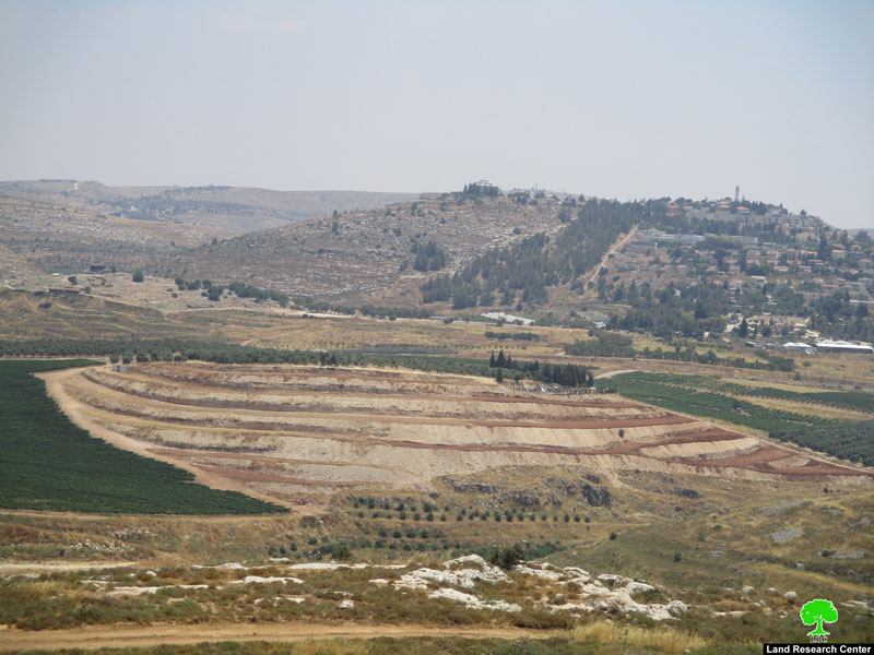 مستعمرو “شيلو” يجرفون الأراضي الزراعية المجاورة بهدف الاستيلاء عليها في بلدة سنجل / محافظة رام الله