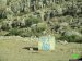 The Israeli occupation lay hands on lands in Wadi Al-Maleh / Tubas government