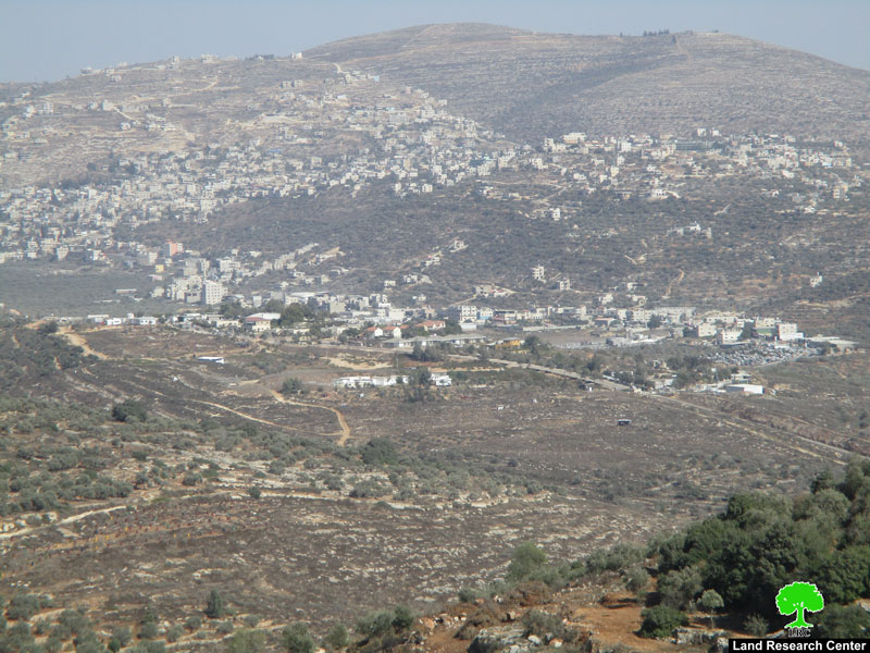 مع اقتراب موسم قطاف الزيتون ..  سرقة ثمار الزيتون من 35 شجرة في قرية ياسوف / محافظة سلفيت