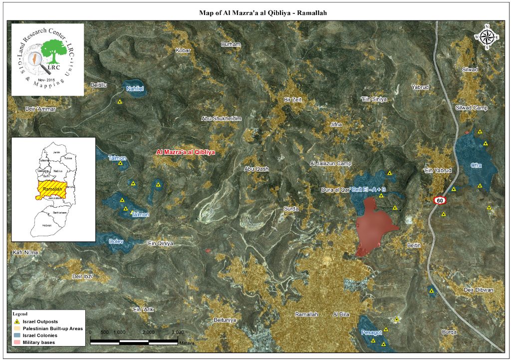 في موسم القطاف .. مستعمرون يسرقون ثمار الزيتون في قرية المزرعة الغربية / محافظة رام الله
