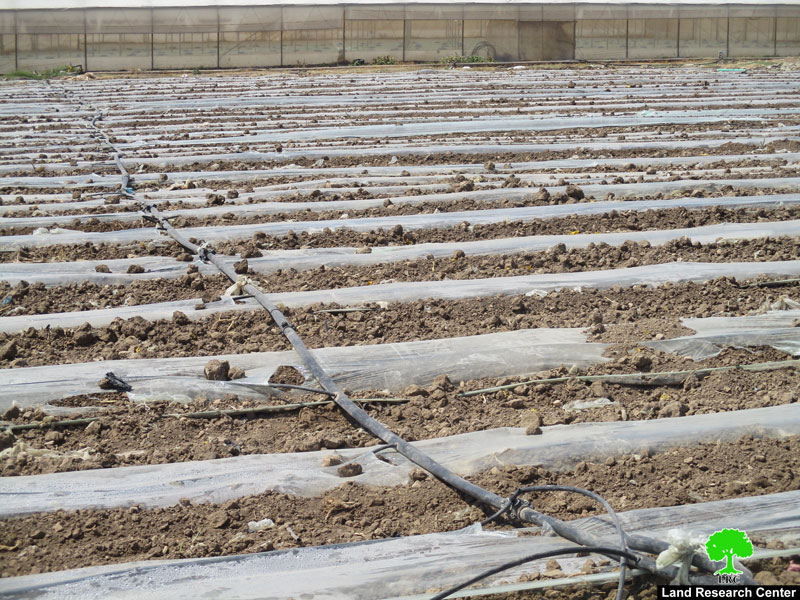Destroying and confiscating water pipes in Ein Al-Bayda village / Tubas Governorate