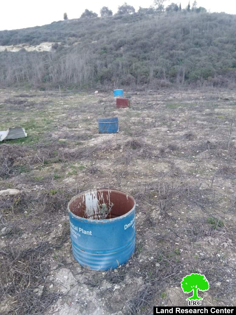 Settlers of “Havat Gilad” cut 20 olive saplings of Jit village / Qalqilya governorate