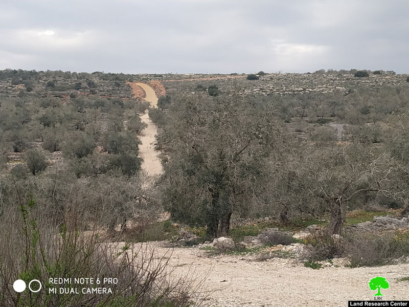The Israeli Occupation prohibit rehabilitating an agricultural road in Kafr Ad-Dik / Salofit governorate