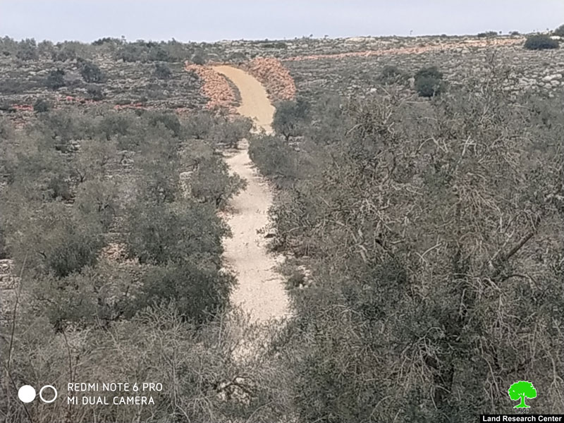 The Israeli Occupation prohibit rehabilitating an agricultural road in Kafr Ad-Dik / Salofit governorate