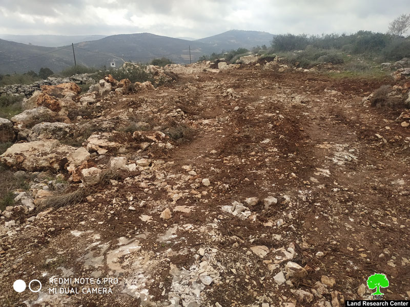 Ravaging agricultural lands in Iskaka village / Nablus governorate