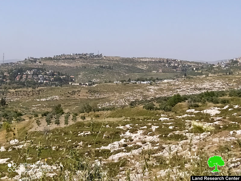 مستعمرو مستعمرة  “حفات جلعاد”  يتلفون 18 شجرة  زيتون في قرية  فرعتا / محافظة قلقيلية