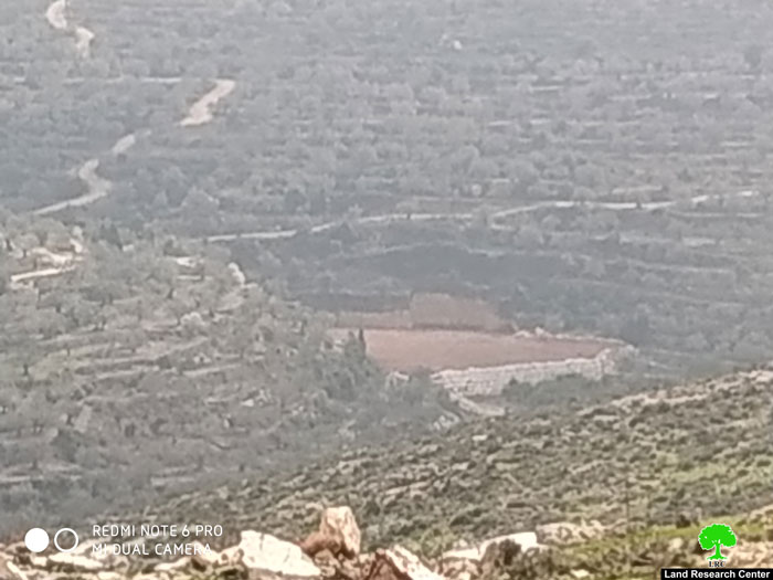 بذريعة أنها محمية طبيعية .. الاحتلال يخطر قطعة أرض في بلدة كفر ثلث / محافظة قلقيلية