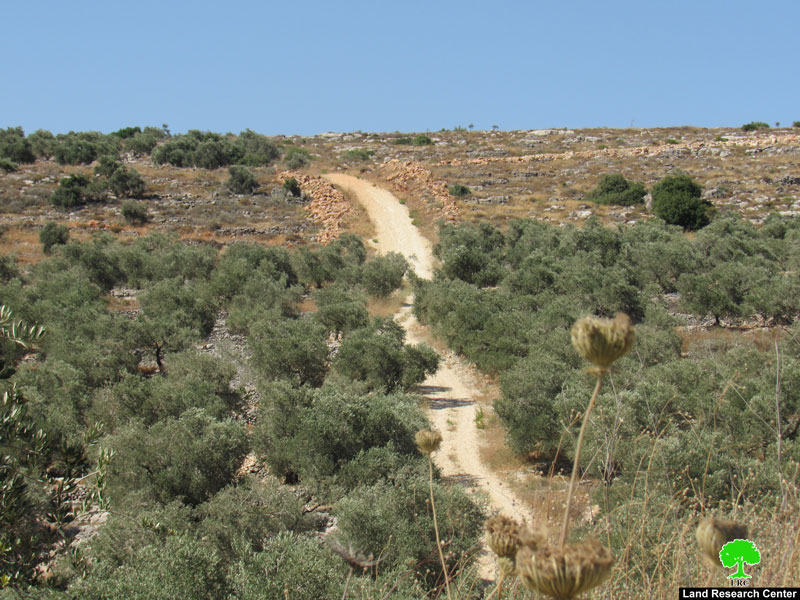 وقف العمل بتـأهيل طريق زراعي غرب بلدة دير إستيا بمحافظة سلفيت