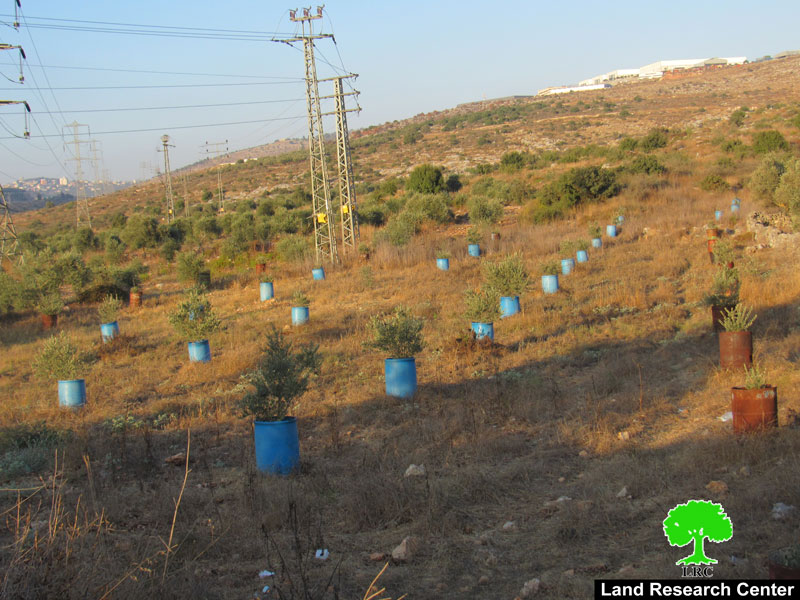 إخطار بإخلاء  بوجوب الاخلاء لـ 10 دونم  من أراضي  قرية اماتين شرق قلقيلية