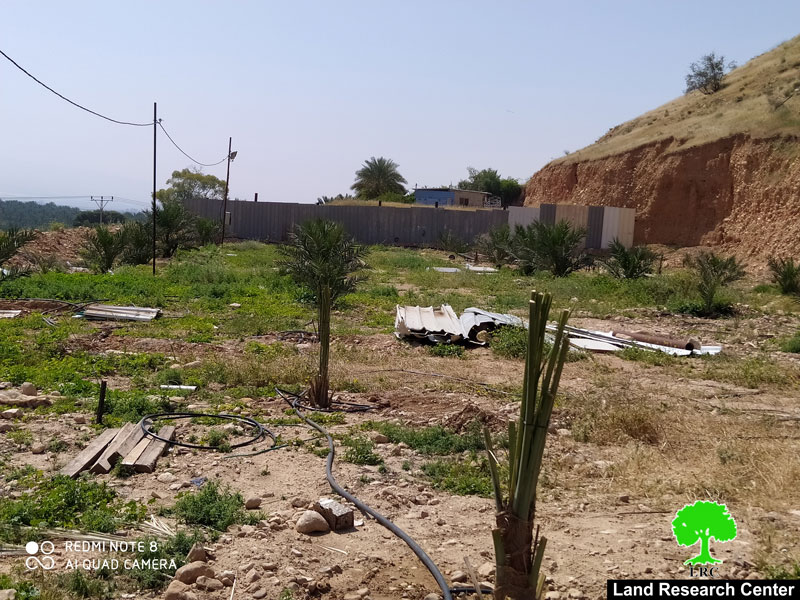 إخطار بـ” إخلاء أراضي” مزروعة بالنخيل في قرية الجفتلك شمال أريحا