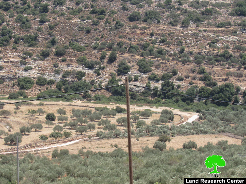 الشروع بشق طريق استعماري جديد  شرق  بلدة كفر ثلث بمحافظة قلقيلية