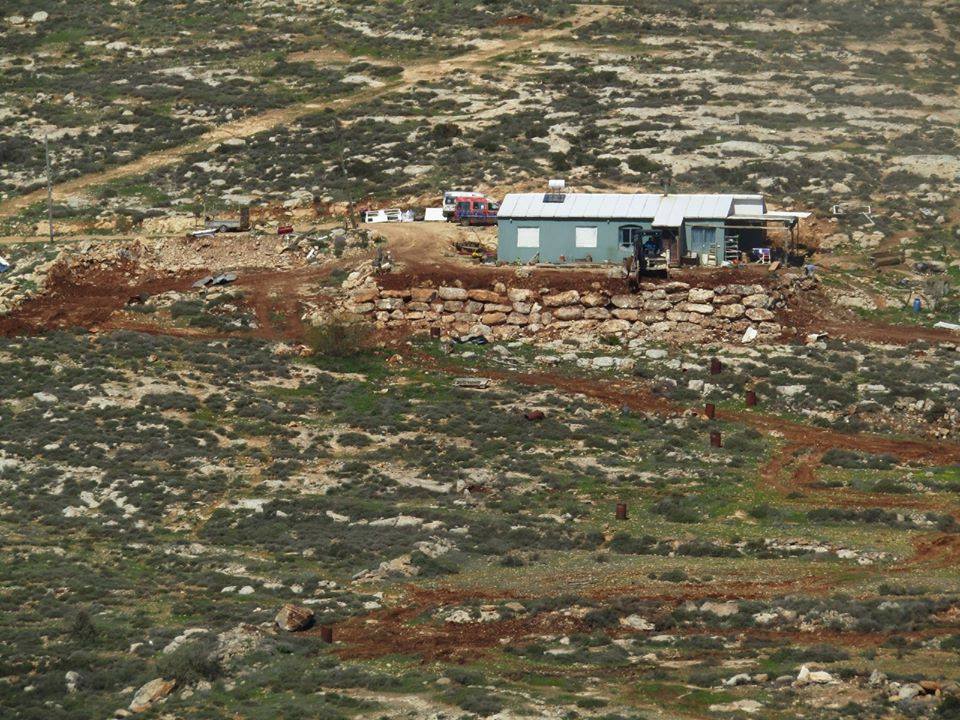 مستعمرون يجرفون أراضي ويقتلعون غراس زيتون في أراضي المغير/ محافظة رام الله