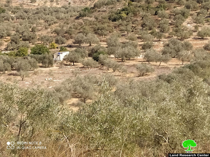 Halt of Work notice for an agricultural facility in Jayyous / Qalqilya governorate