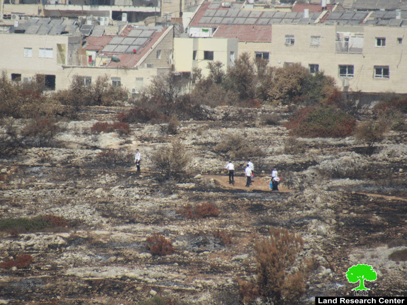 Settlers carry out an Arson Attack in Saffa and Bal’in/ Ramallah governorate