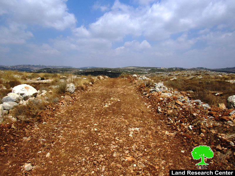 مستعمرون يشقون طريق ويقطعون 20 شجرة زيتون في أراضي كفر اللبد بمحافظة طولكرم