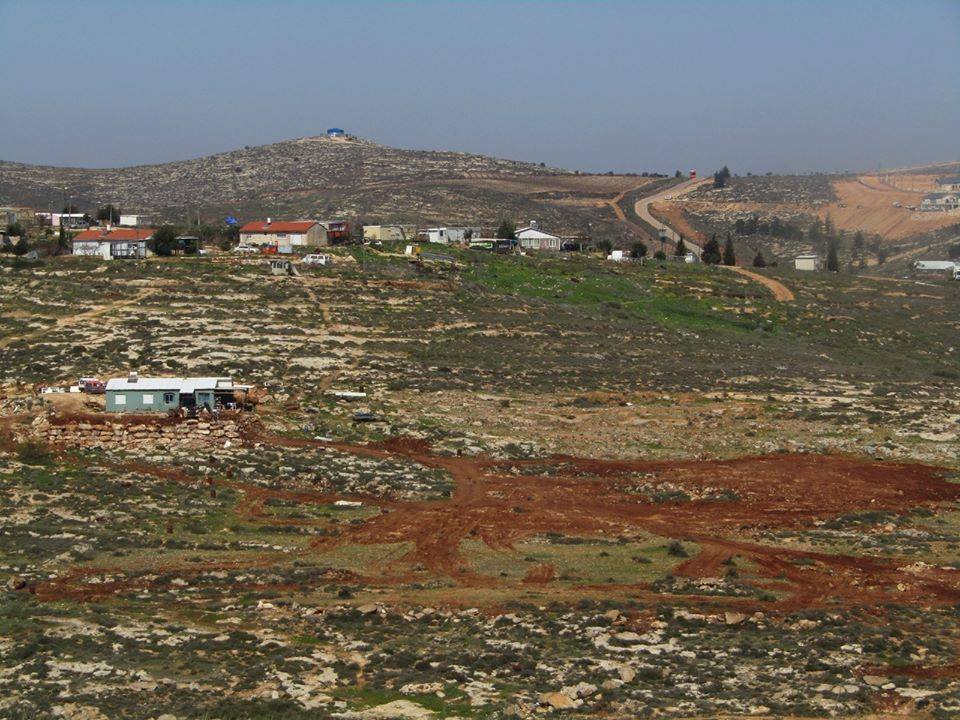 Settlers ravage lands and uproot trees in Al-Mughayyir / Ramallah
