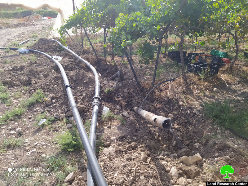 تدمير ومصادرة شبكات ري تخدم 45 دونماً في قرية الجفتلك / محافظة أريحا