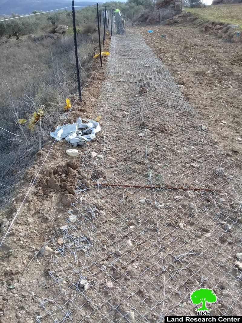 مستعمرو ” حفات جلعاد” يتلفون ويسرقون سياج حول قطعة أرض في قرية فرعتا بمحافظة قلقيلية