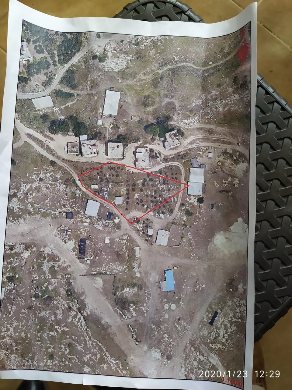 The Israeli Occupation forces uproot 84 olive trees in Bardala village / Tubas governorate