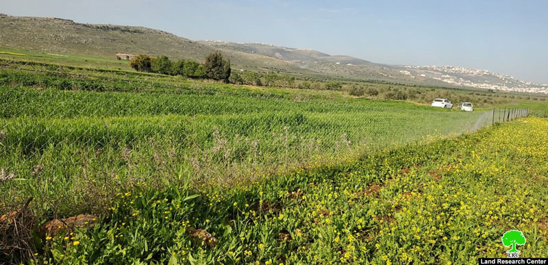 مستعمرة ” عادي عاد” يحطمون تحطيم سياج ويسرقون زوايا حديدية من أراضي بلدة ترمسعيا / محافظة رام الله