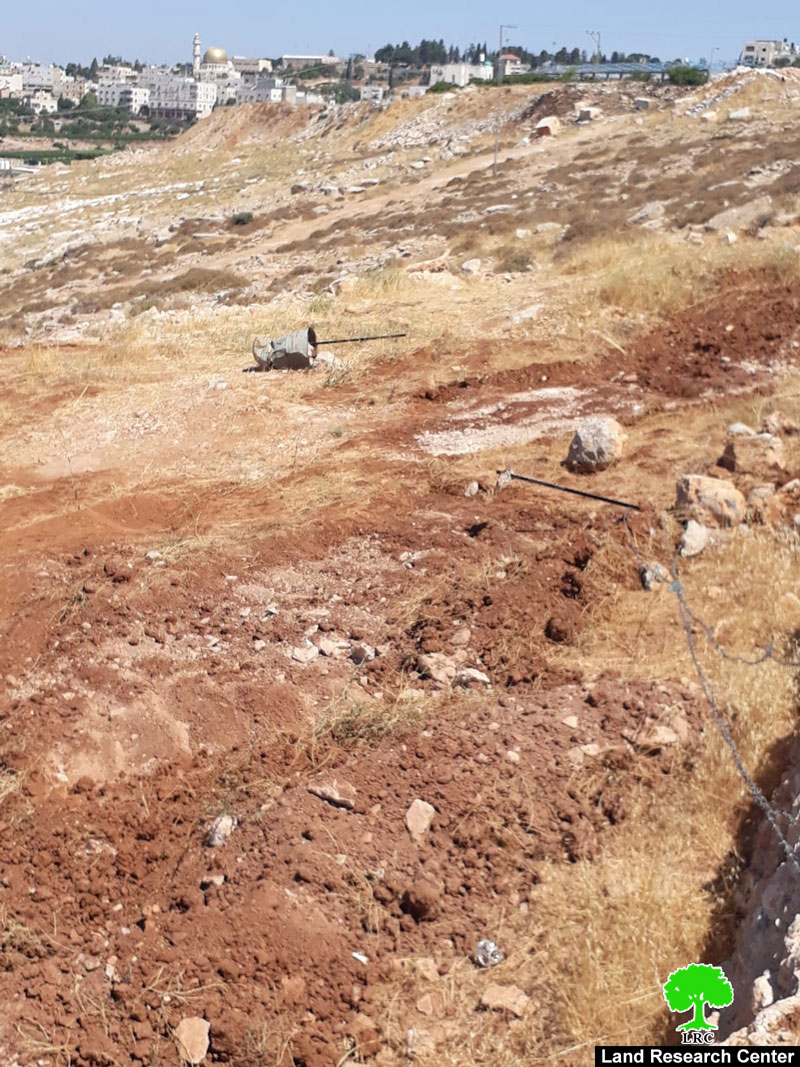 The Israeli Occupation target farmlands in  Hebron city