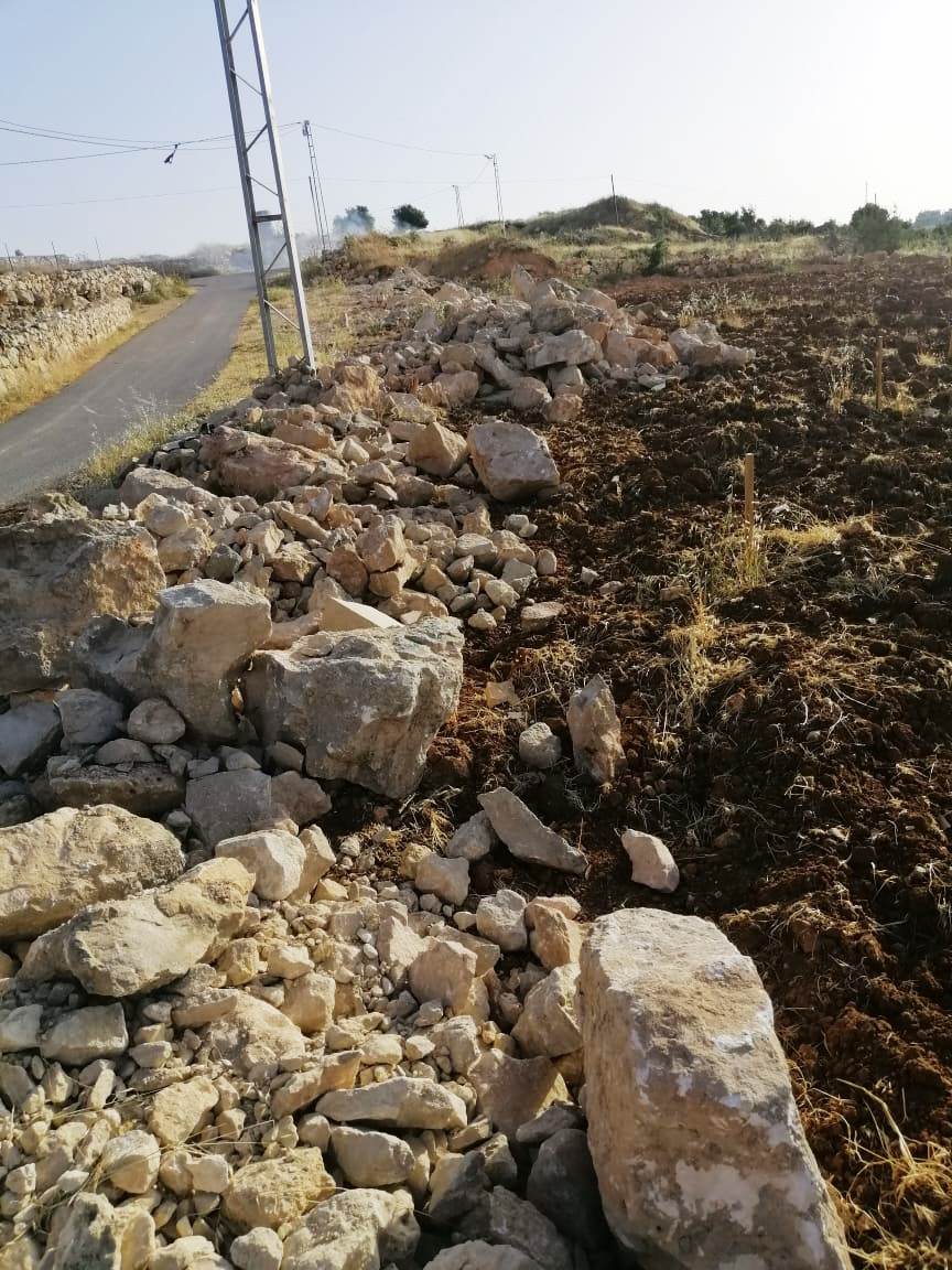 Fanatic colonists escalate attacks against farmers and farmlands/ Hebron Governorate