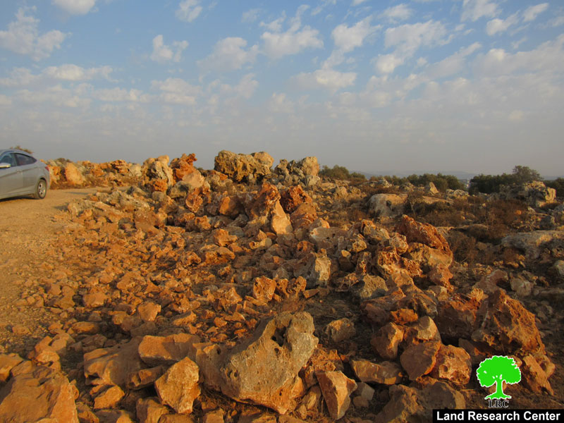 Uprooting Saplings and destroying retaining walls in Salfit city