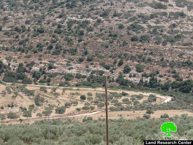 New Colonial Road to be opened in Kafr Thulth / Qalqilya governorate