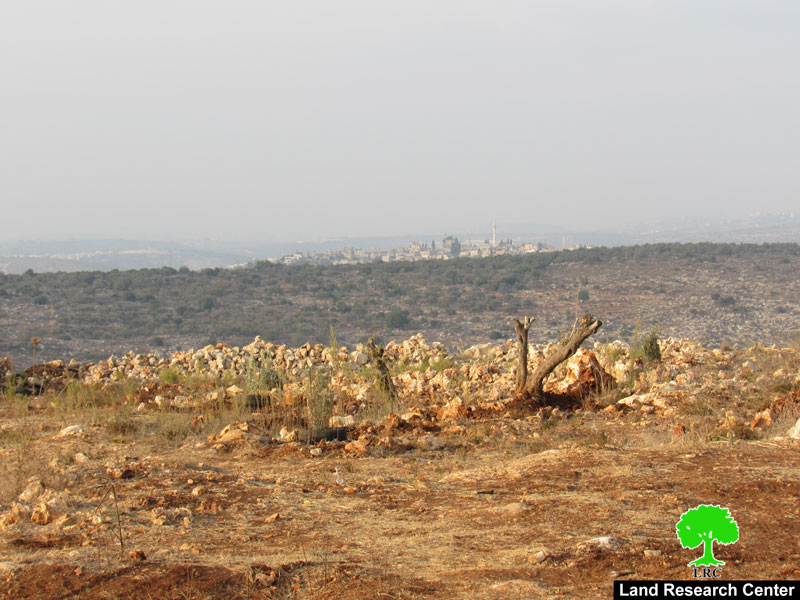 Uprooting Saplings and destroying retaining walls in Salfit city
