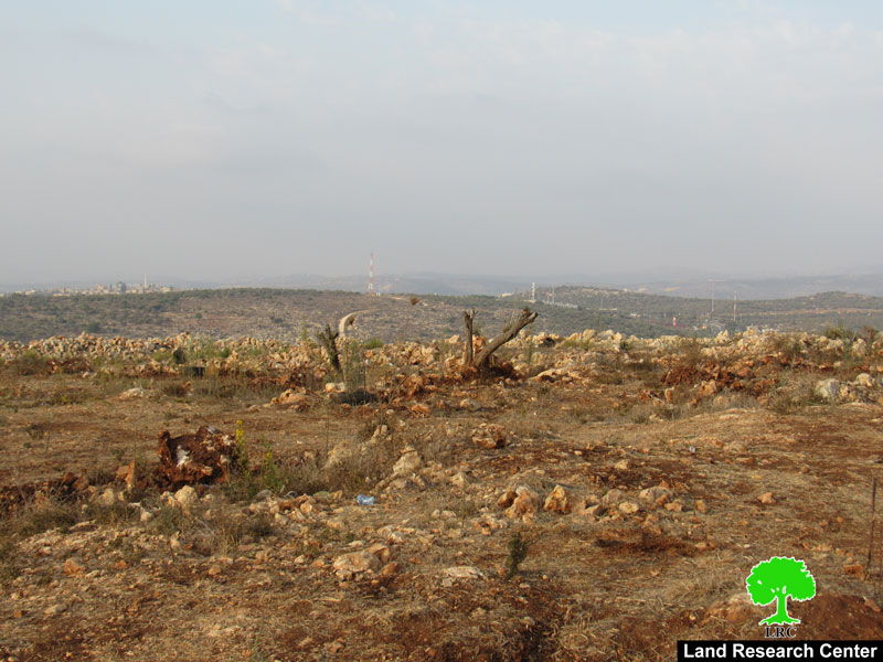 اقتلاع أشتال وهدم سلاسل حجرية في مدينة سلفيت