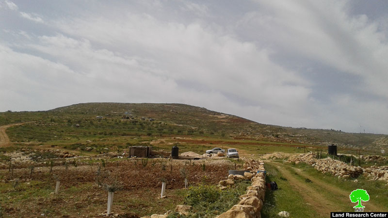 Palestinian farmers attacked by Colonists east Al-Shuyoukh/ Hebron Governorate